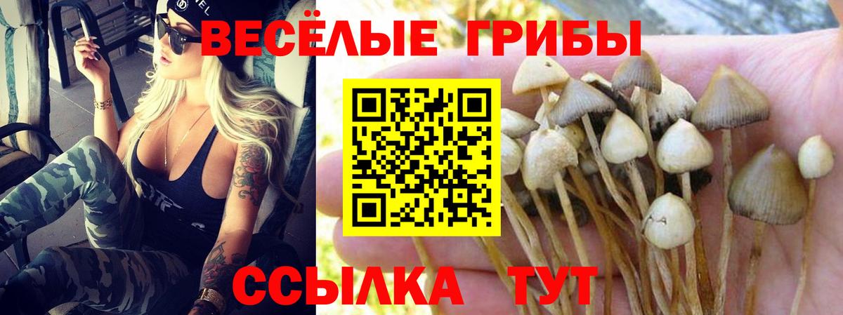 Галлюциногенные грибы ЛСД Краснокаменск
